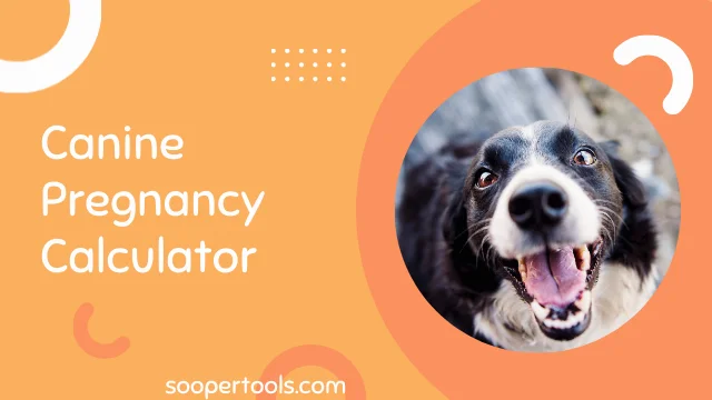 Canine Pregnancy Calculator