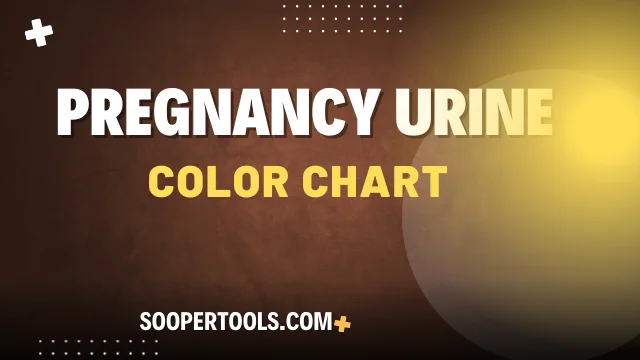 Pregnancy Urine Color Chart