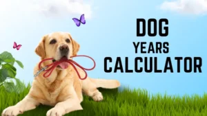 Dog Years Calculator