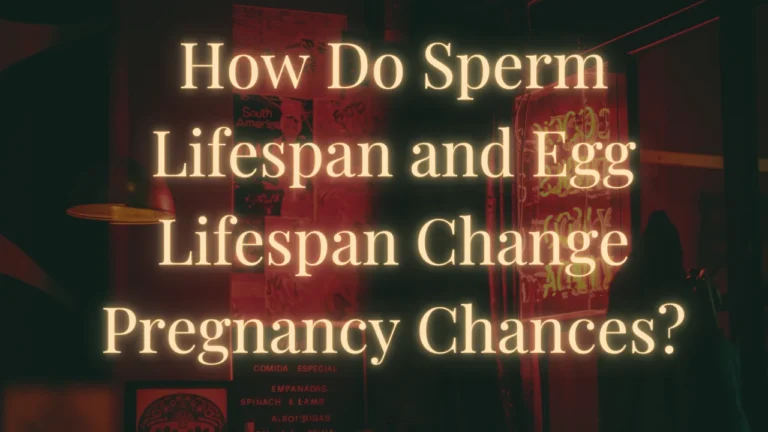 Sperm Lifespan
